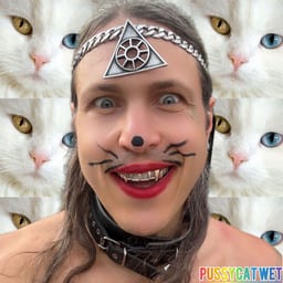 PussyCat Wet album cover