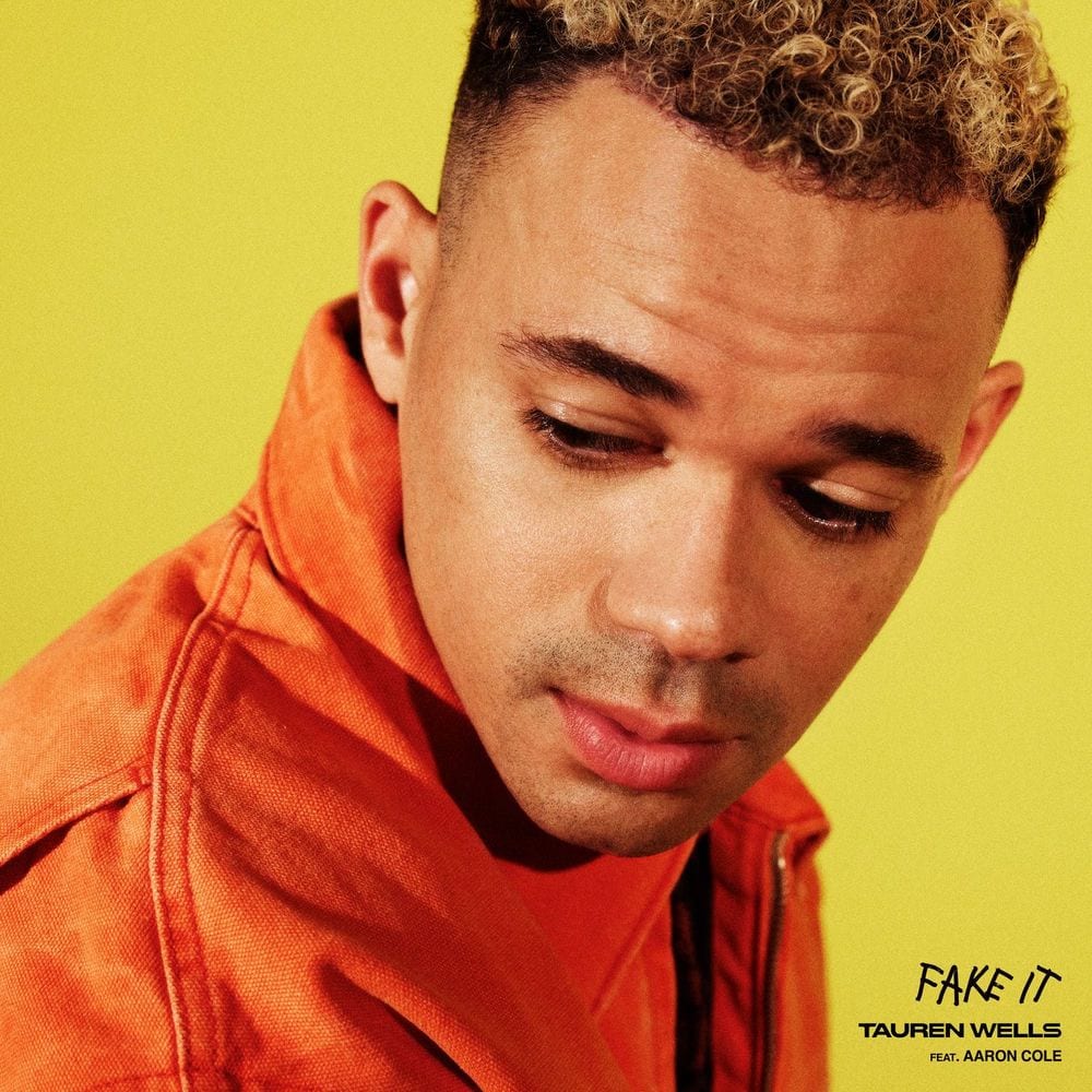 Fake It cover