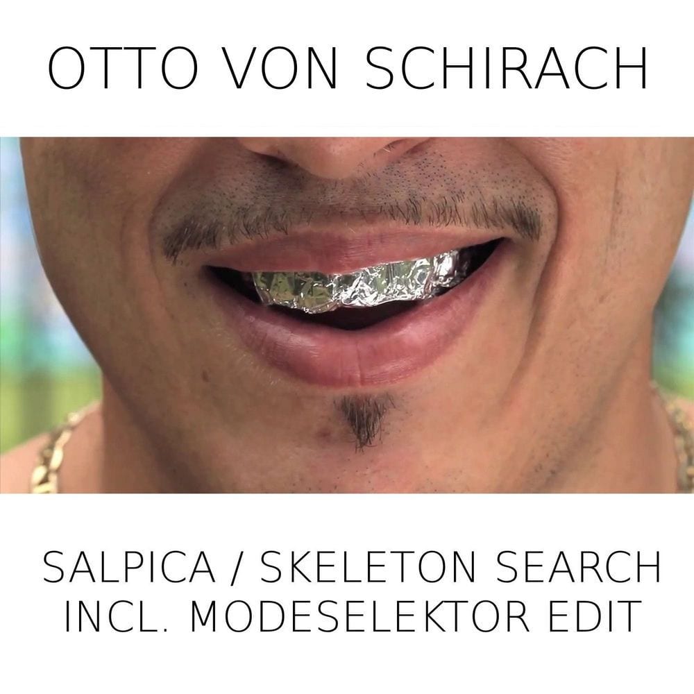 Salpica / Skeleton Search (Modeselektor Edit) cover