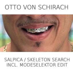 Salpica / Skeleton Search (Modeselektor Edit) album cover