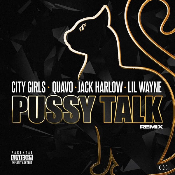 Pussy Talk (Remix) cover