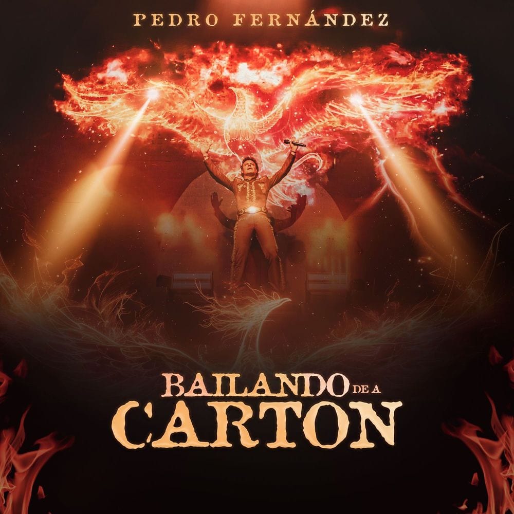 Bailando De A Cartón cover