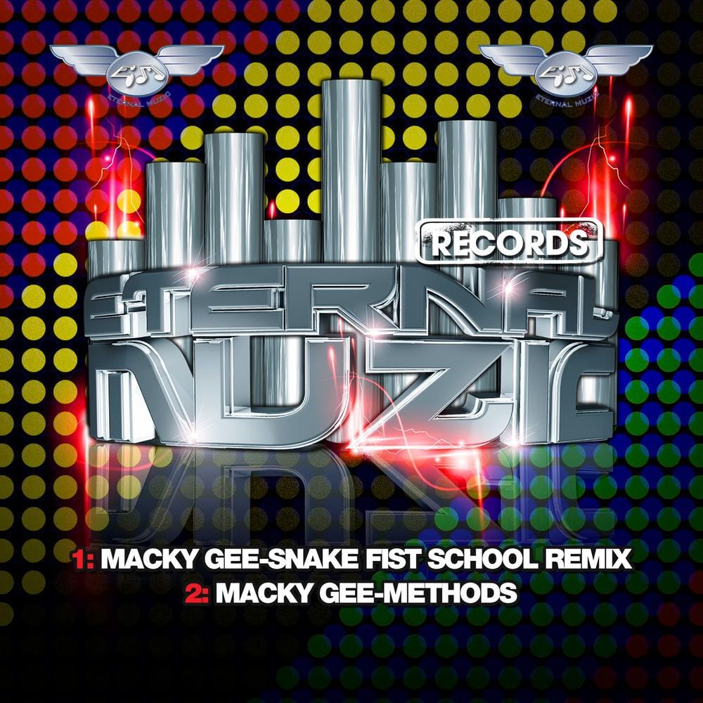 Snake Fist School Remix & Methods cover