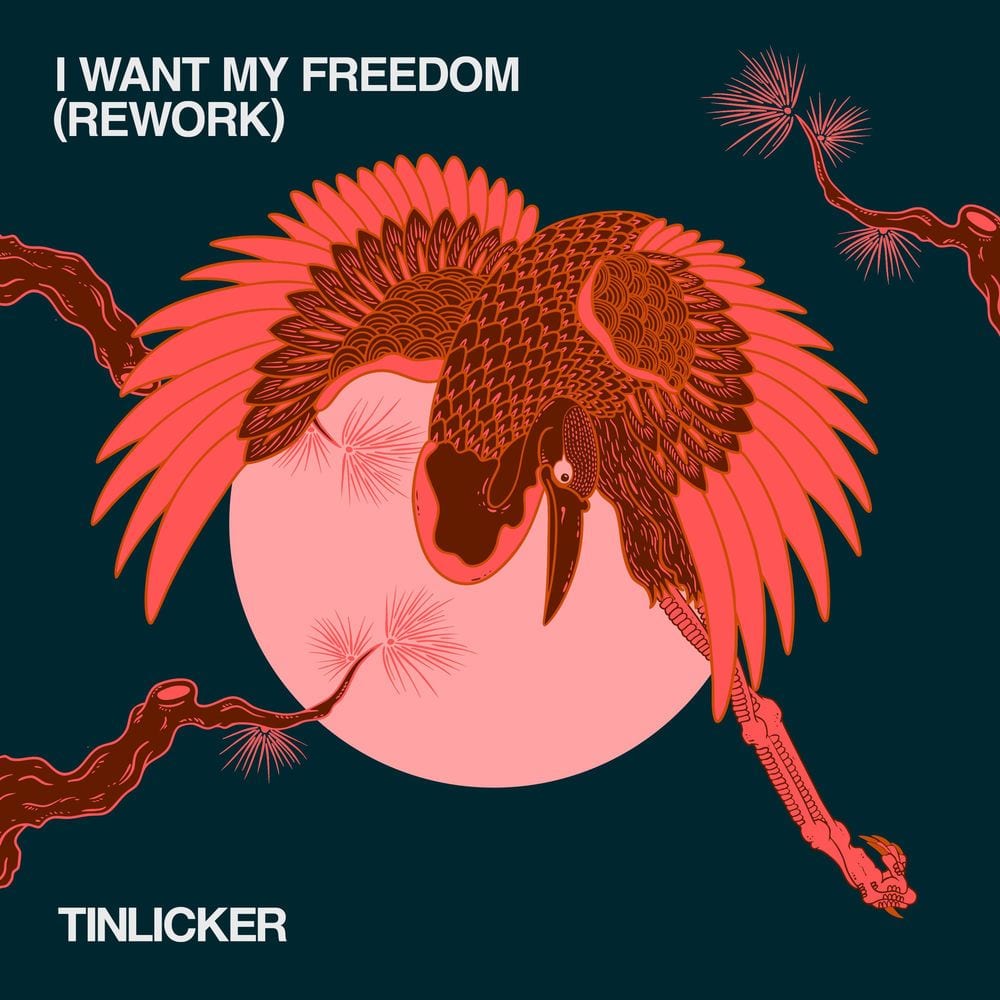 I Want My Freedom (Rework) cover