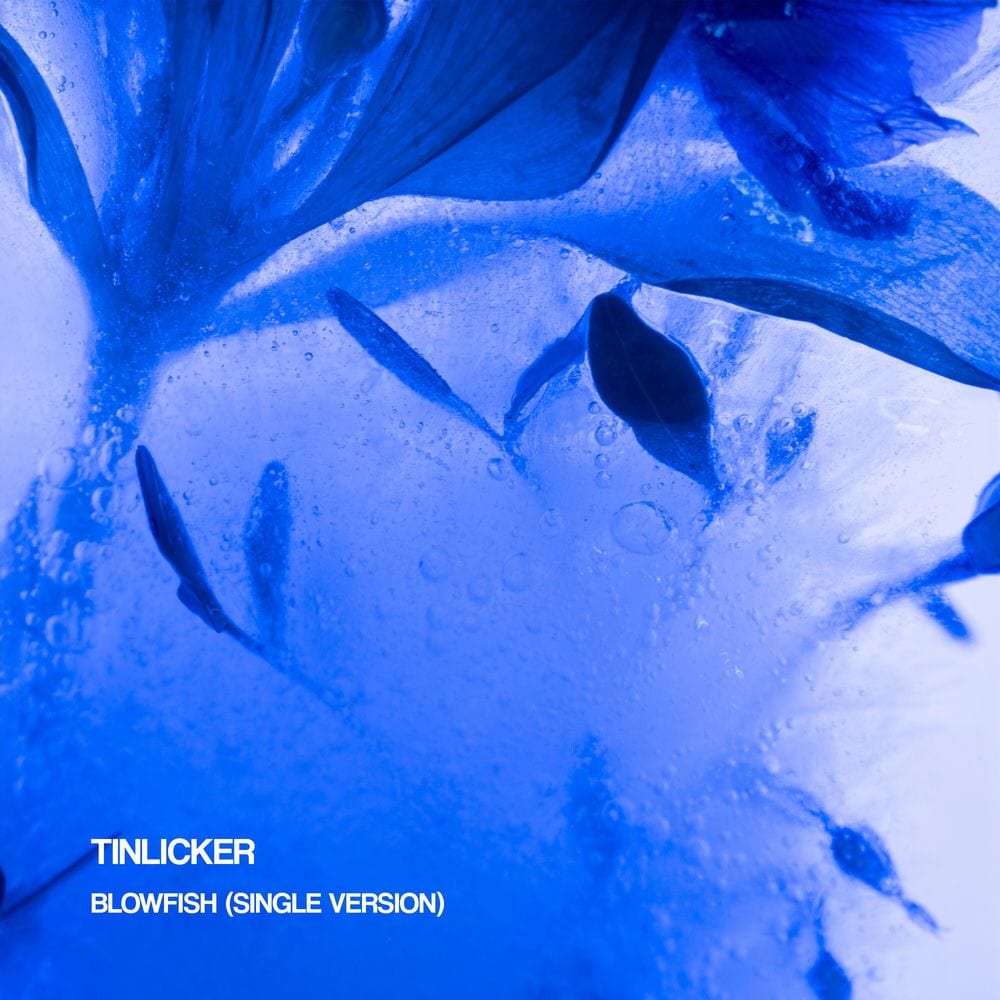 Blowfish (Single Version) cover