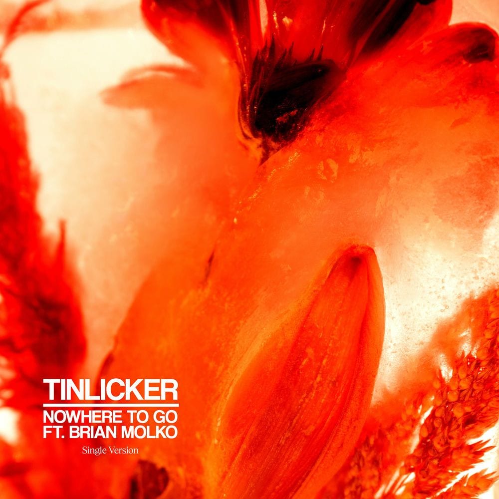 Nowhere To Go (feat. Brian Molko) (Single Version) cover