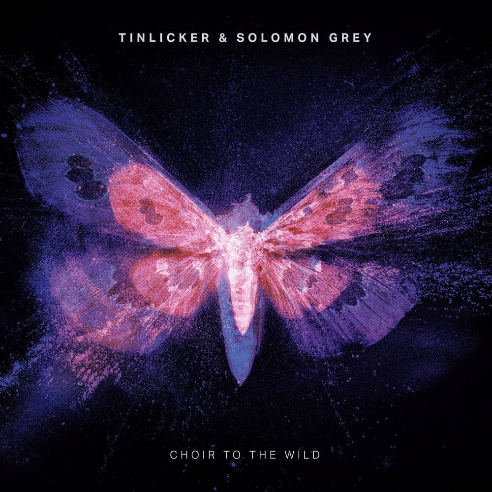Choir To The Wild cover
