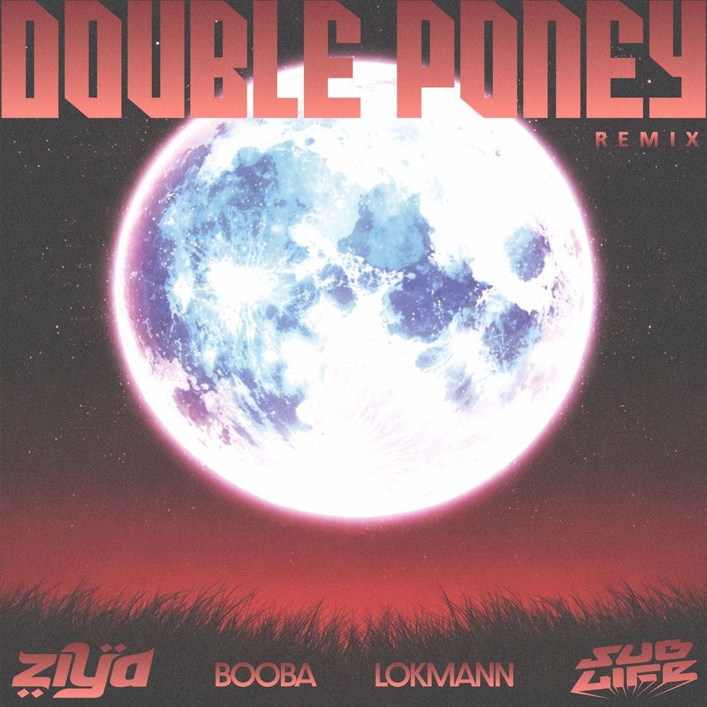 Double Poney (Remix) cover