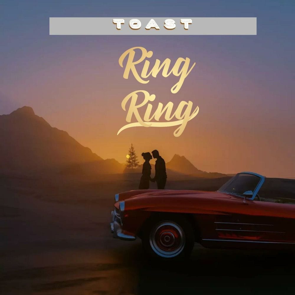 Ring Ring cover