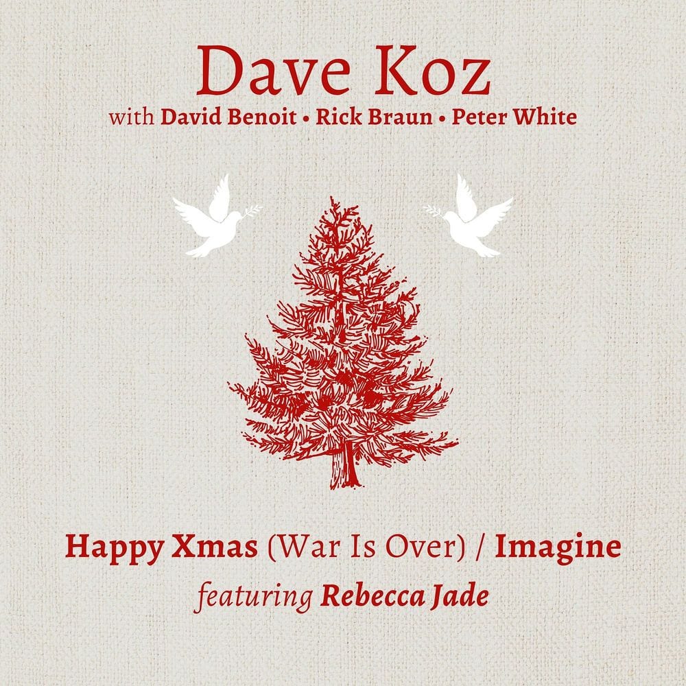 Happy Xmas (War Is Over) / Imagine cover