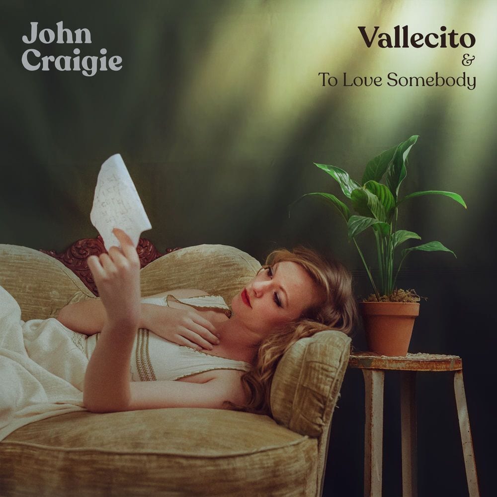Vallecito cover