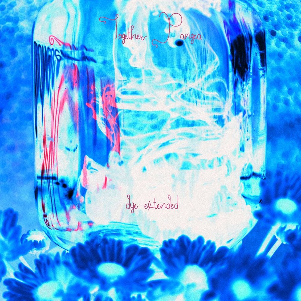 DYE (Extended) cover