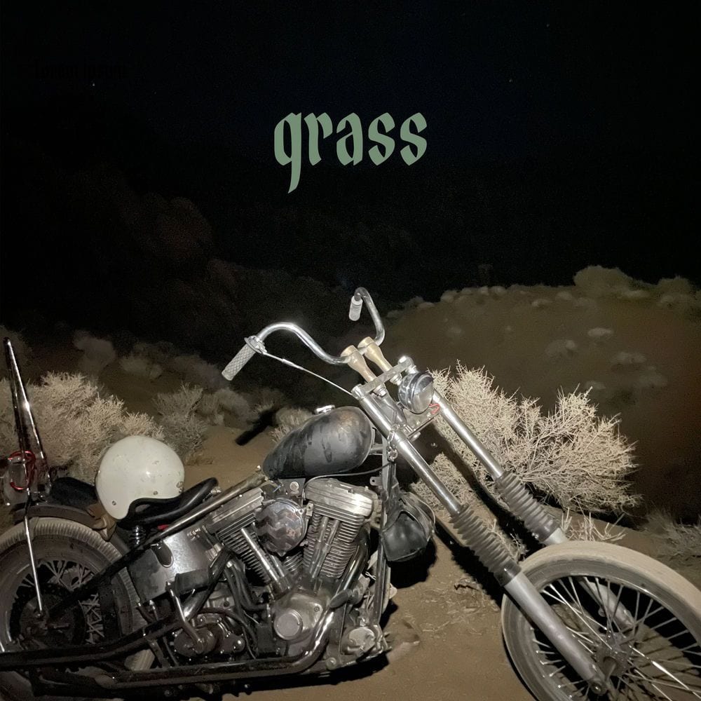 Grass cover