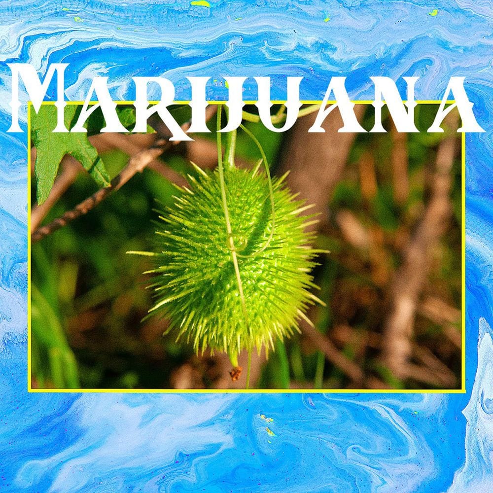 Marijuana cover
