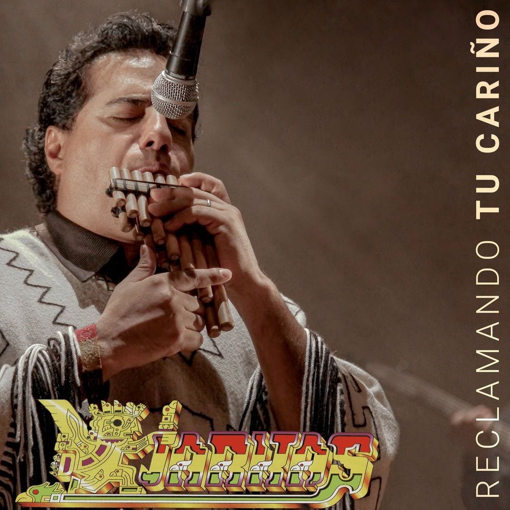 Reclamando Tu Cariño cover