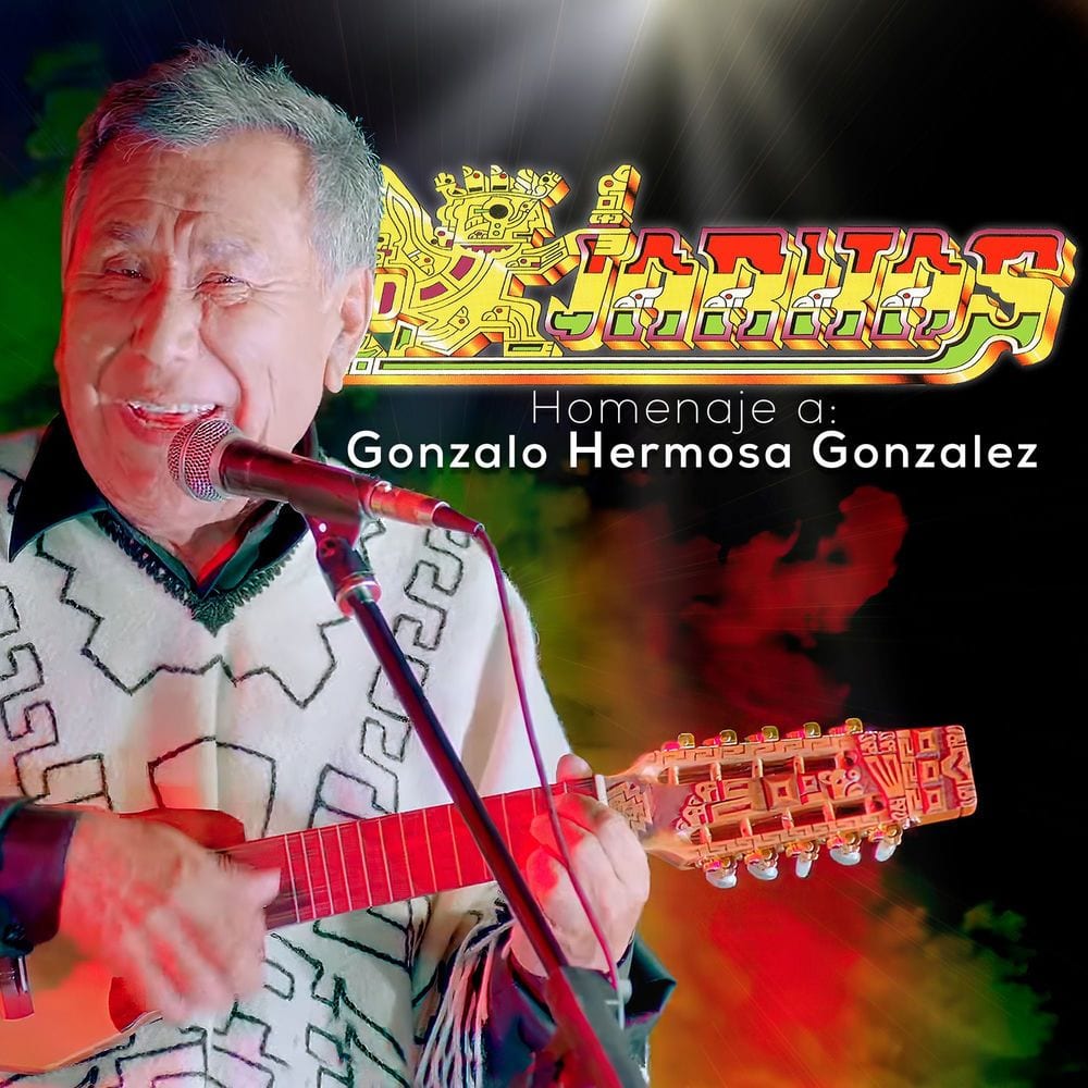 Homenaje a Gonzalo Hermosa Gonzalez cover
