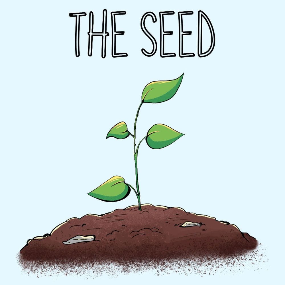 The Seed cover