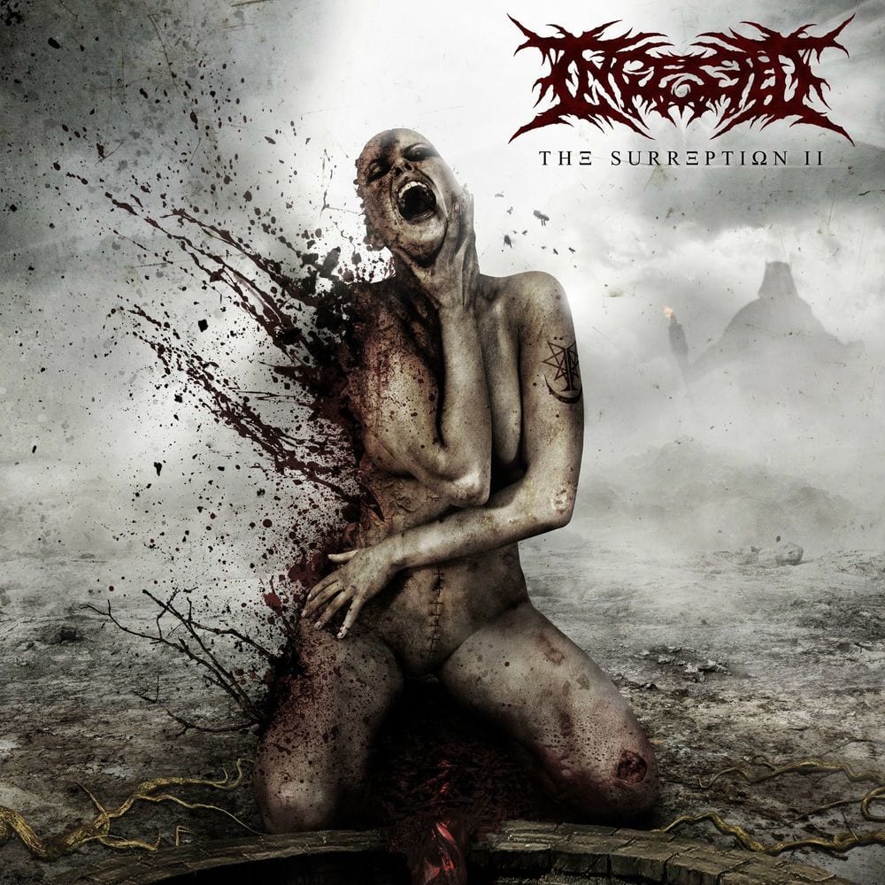 This Disgusting Revelation (Redux) cover