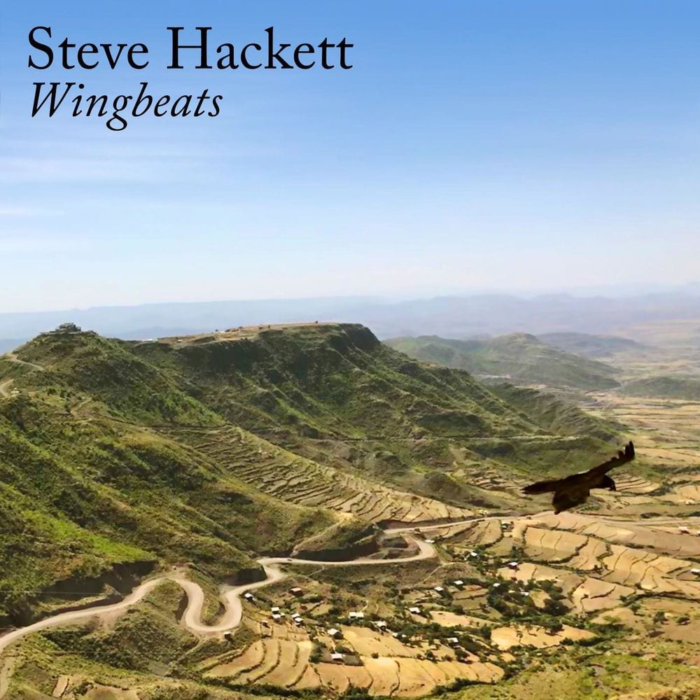 Wingbeats cover