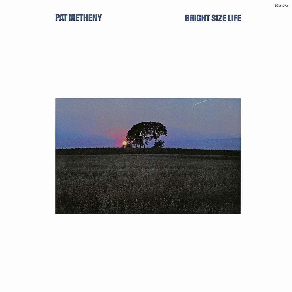 Bright Size Life cover
