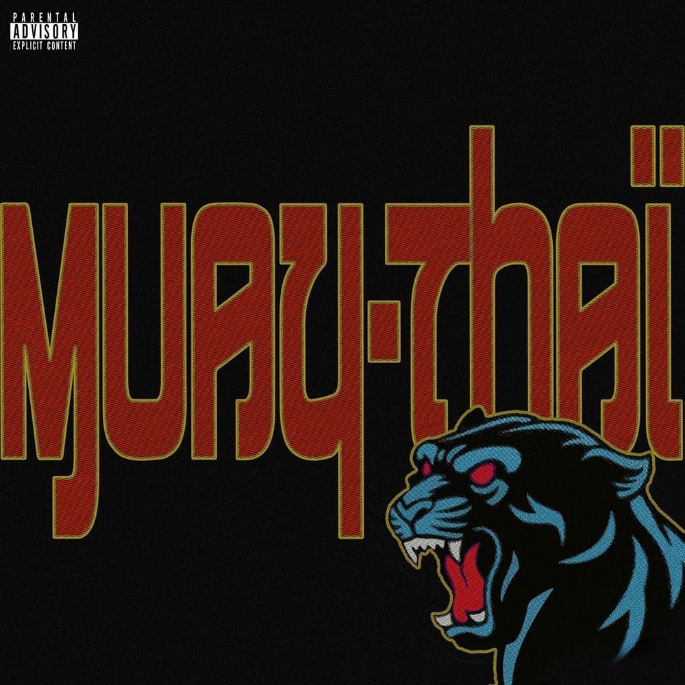 Muay Thaï cover