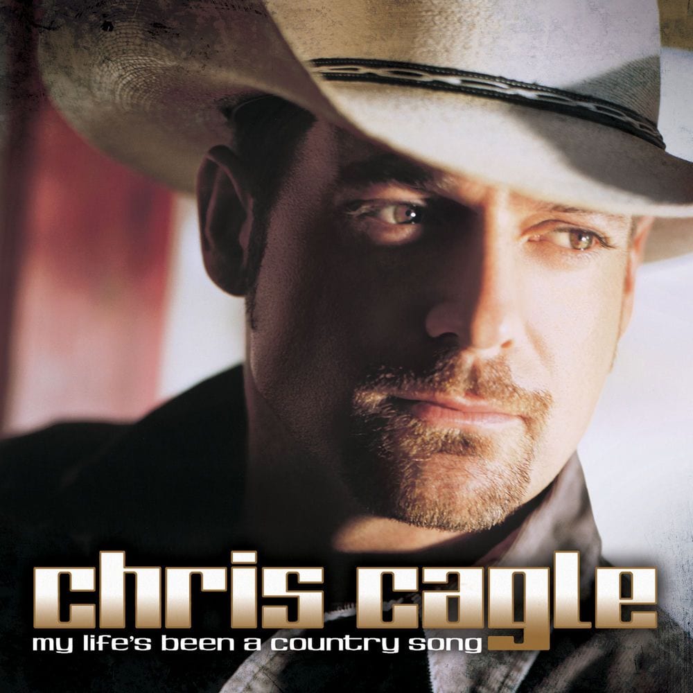 My Life's Been a Country Song cover