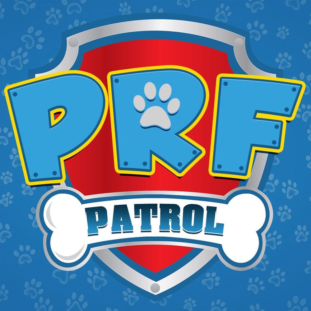 PAW Patrol Opening Theme cover
