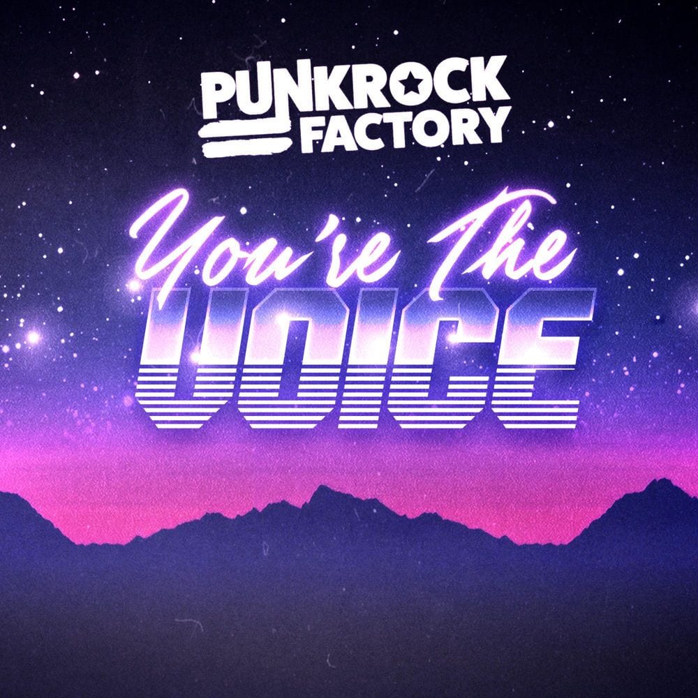 You're the Voice cover
