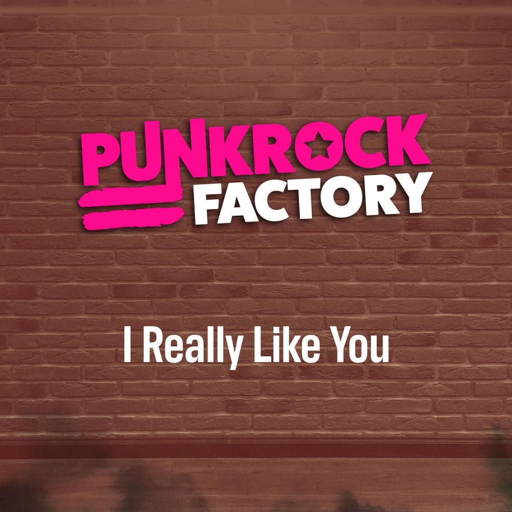 I Really Like You cover