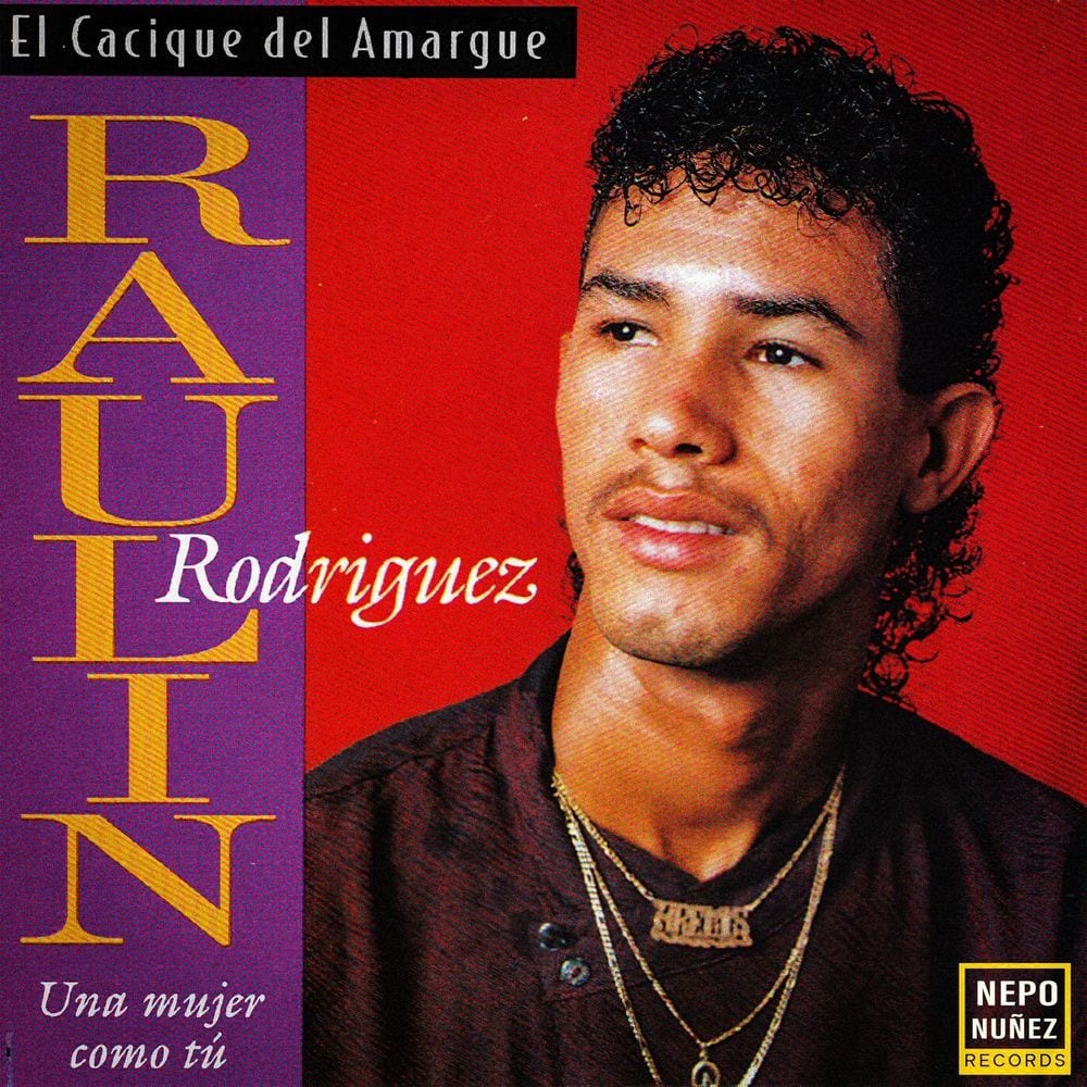 Una Mujer Como Tú ( El Cacique Del Amargue ) cover