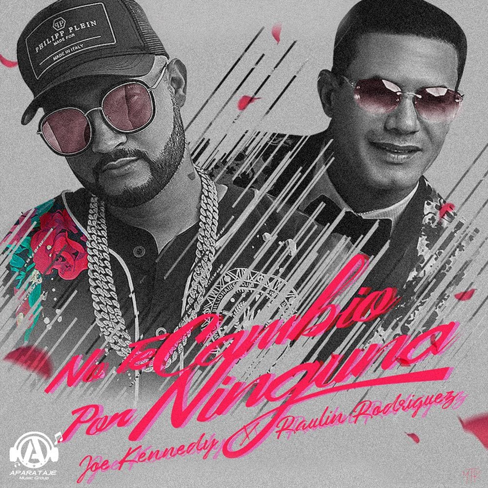No Te Cambio por Ninguna (Remix) cover
