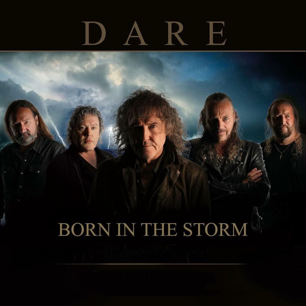 Born in the Storm (Radio Edit) cover