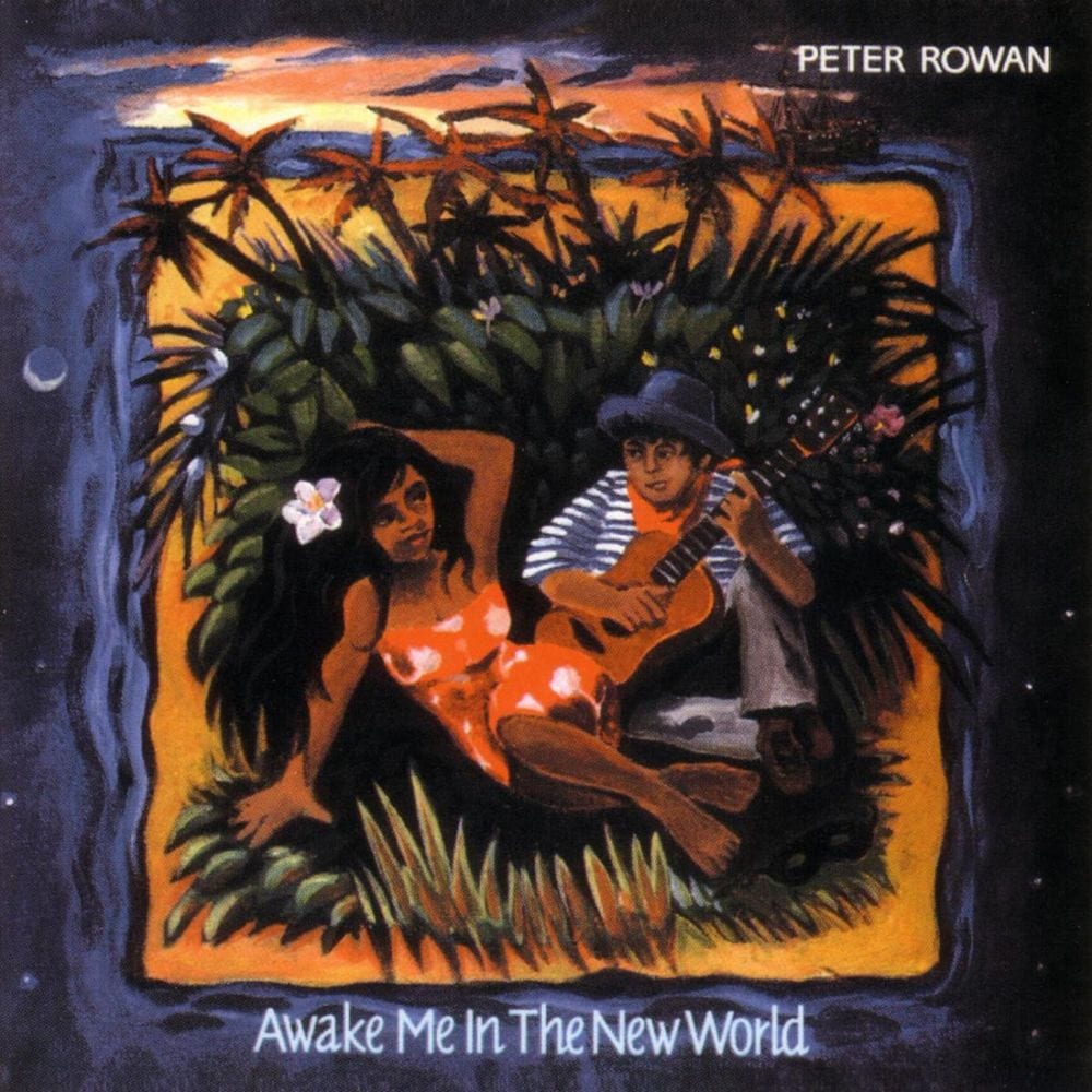 Awake Me In The New World cover