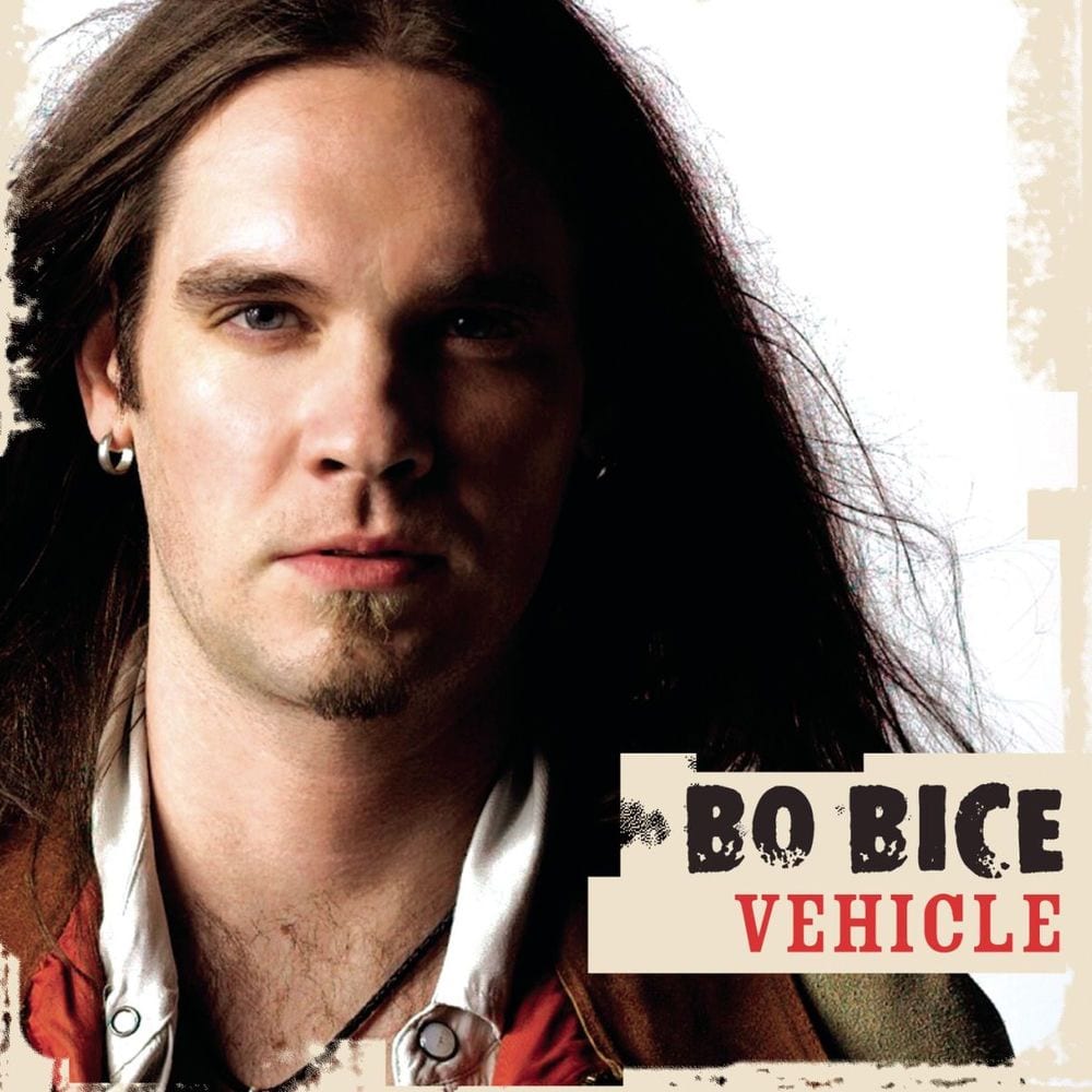 Vehicle cover