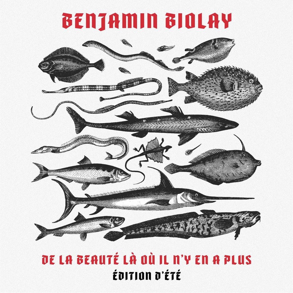 De la beauté là où il n'y en a plus (Édition d'été) cover