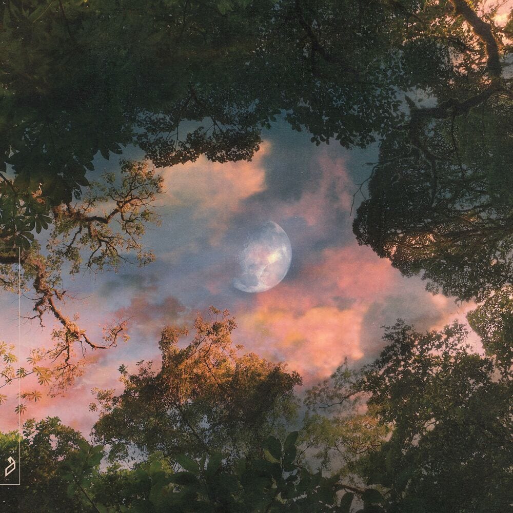 Holding Me Back album cover