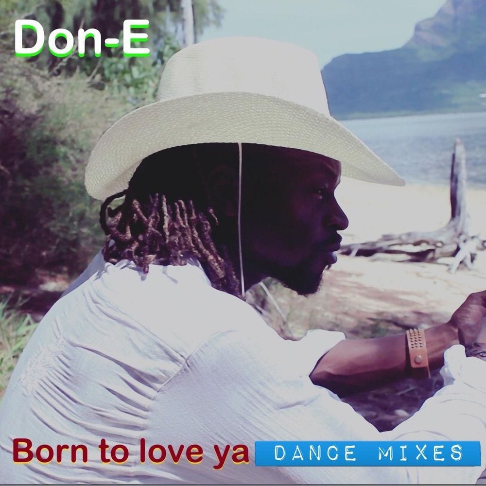 Born to Love Ya Dance Mixes cover
