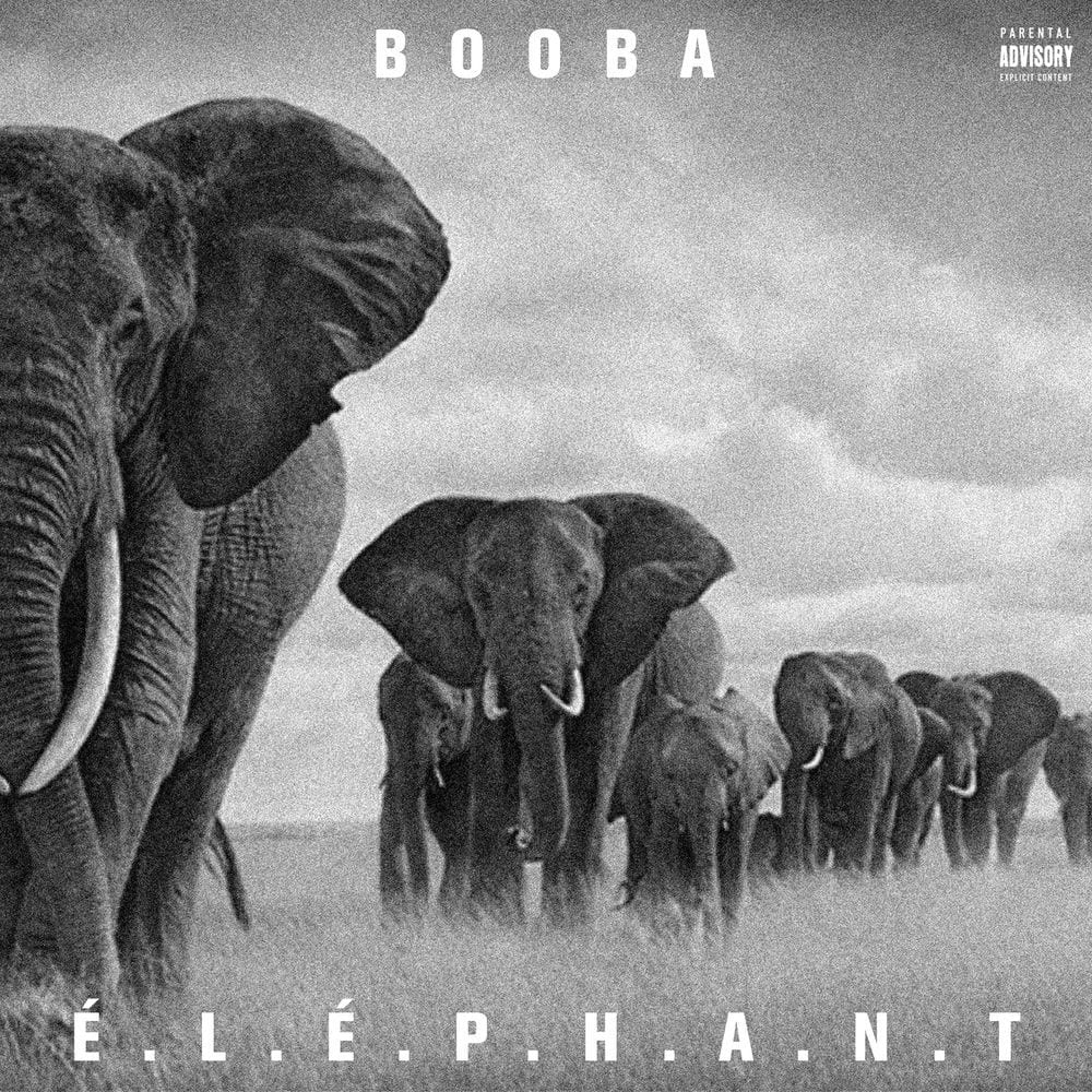 E.L.E.P.H.A.N.T cover
