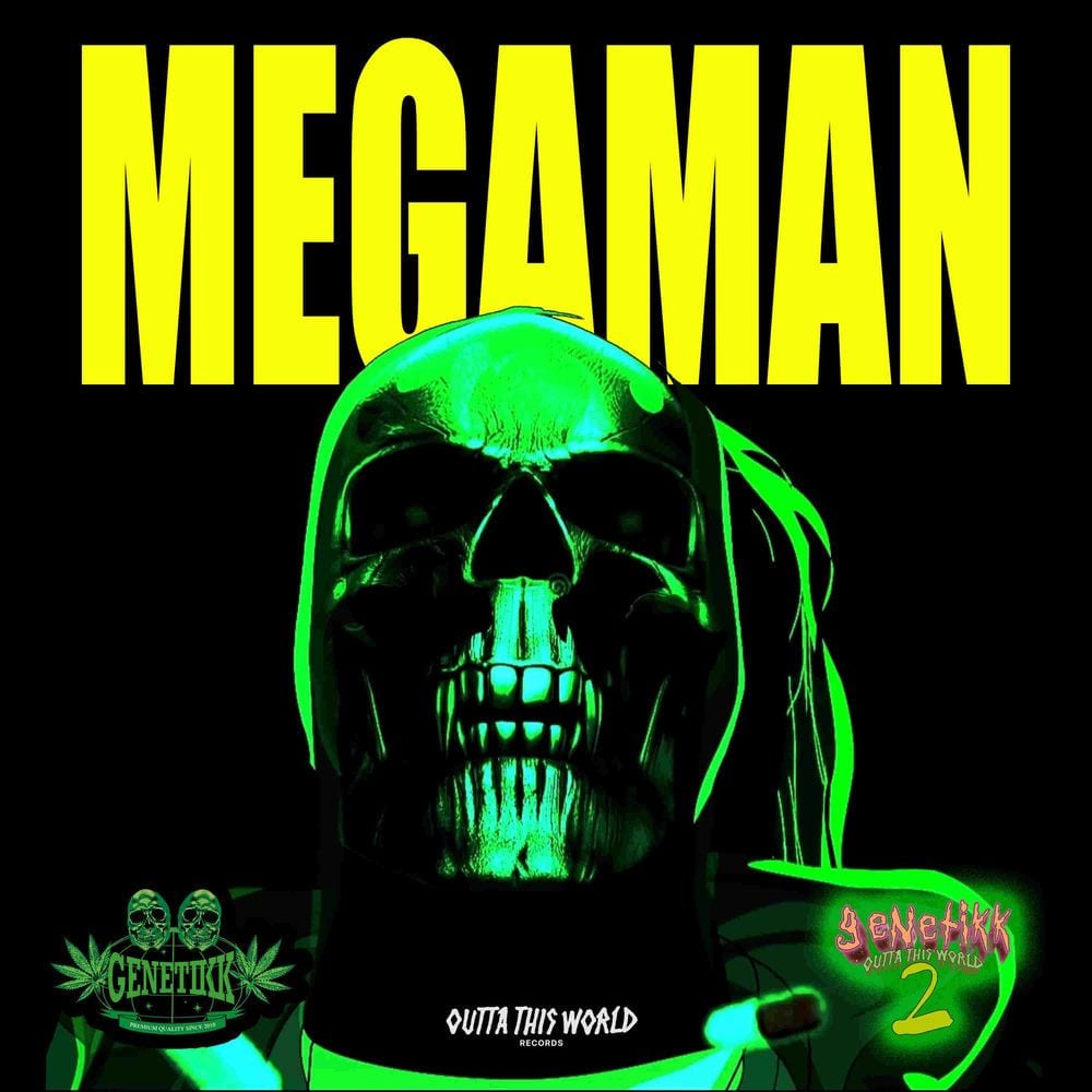 MEGAMAN cover