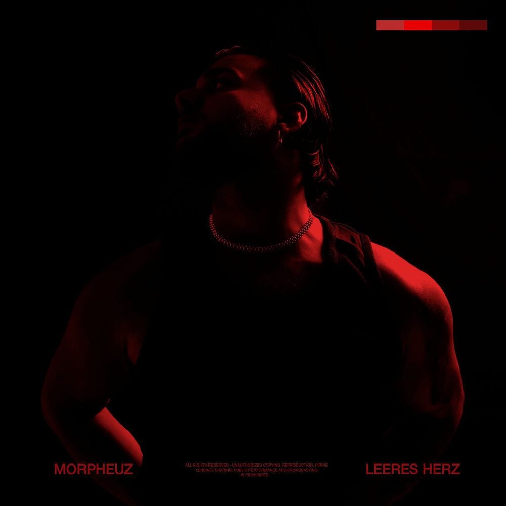 Leeres Herz cover