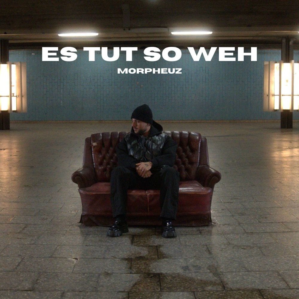 Es tut so weh cover