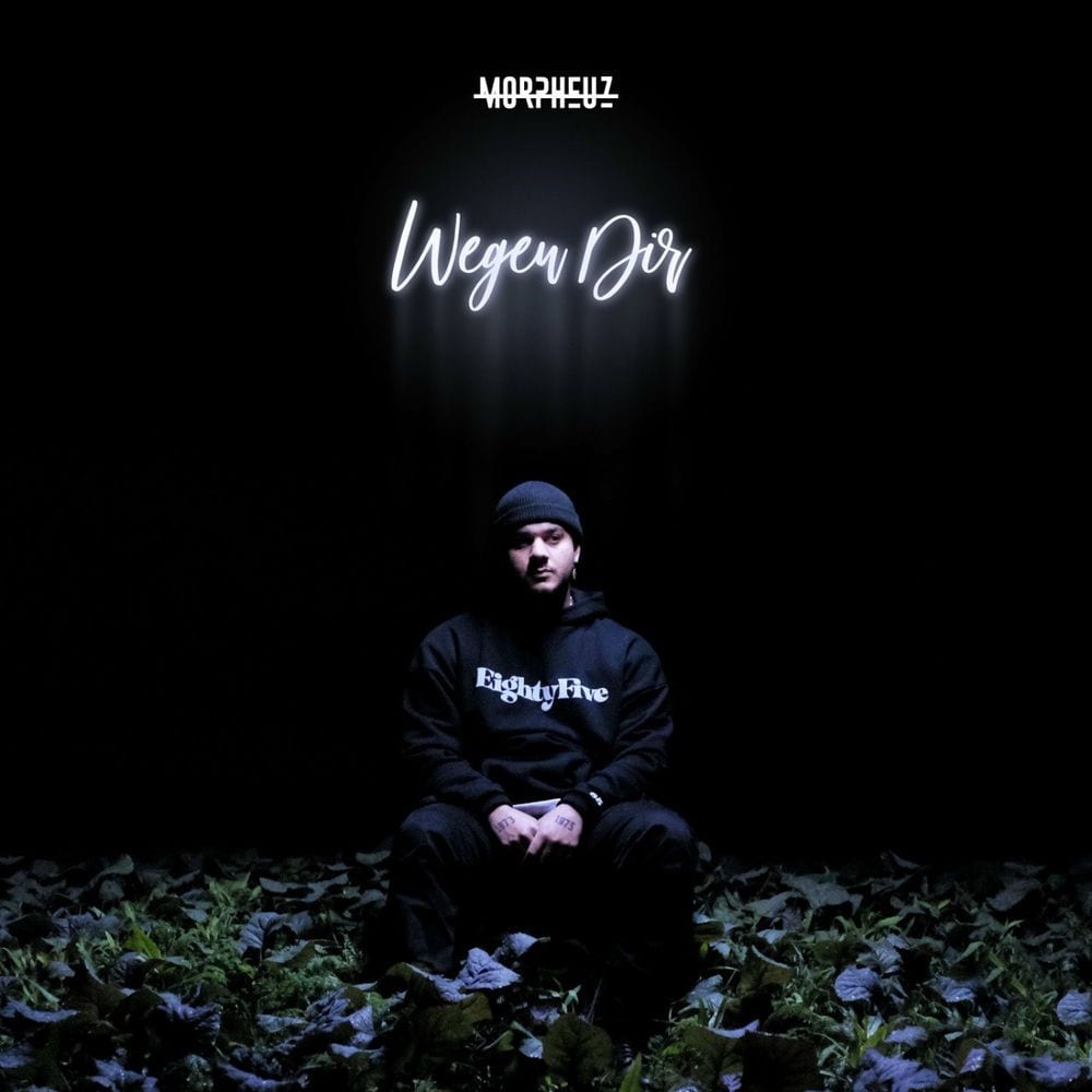 Wegen Dir cover