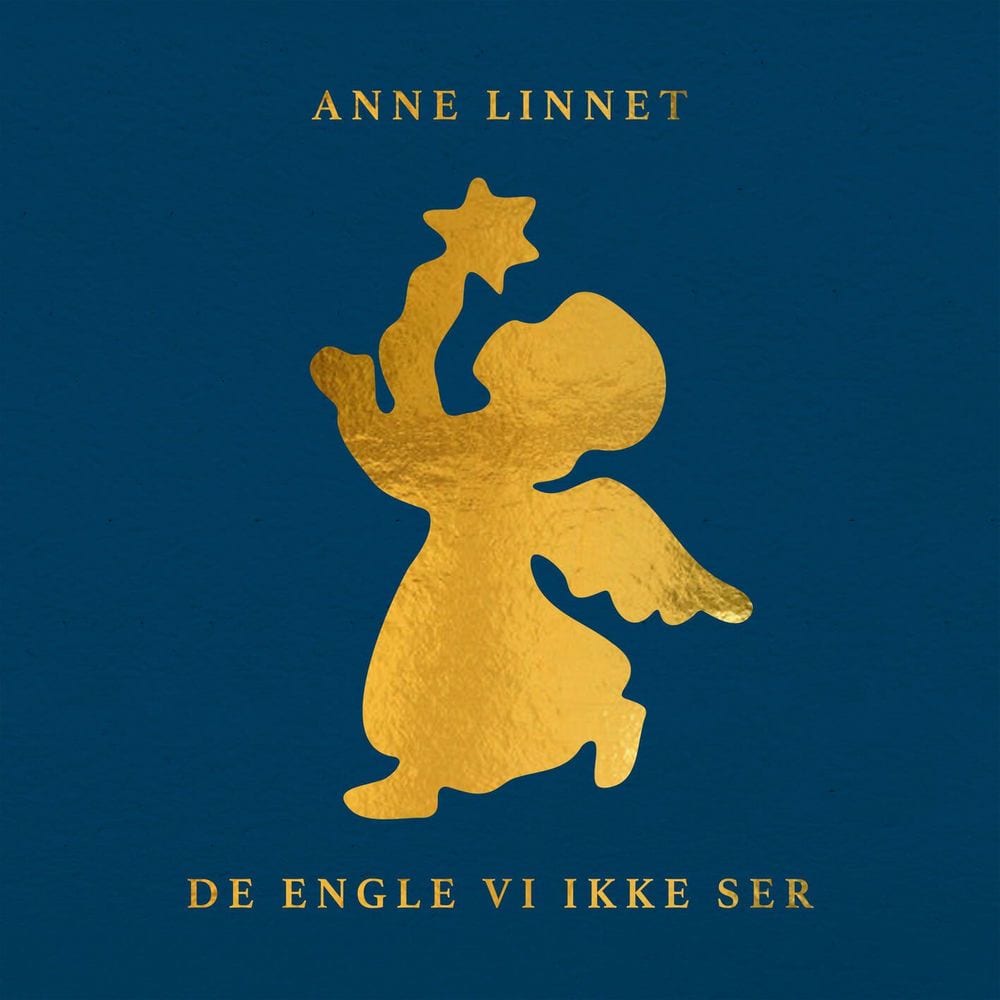 De Engle Vi Ikke Ser cover