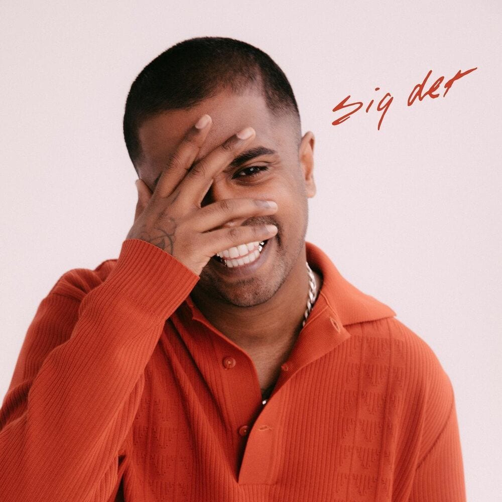 Sig Det cover