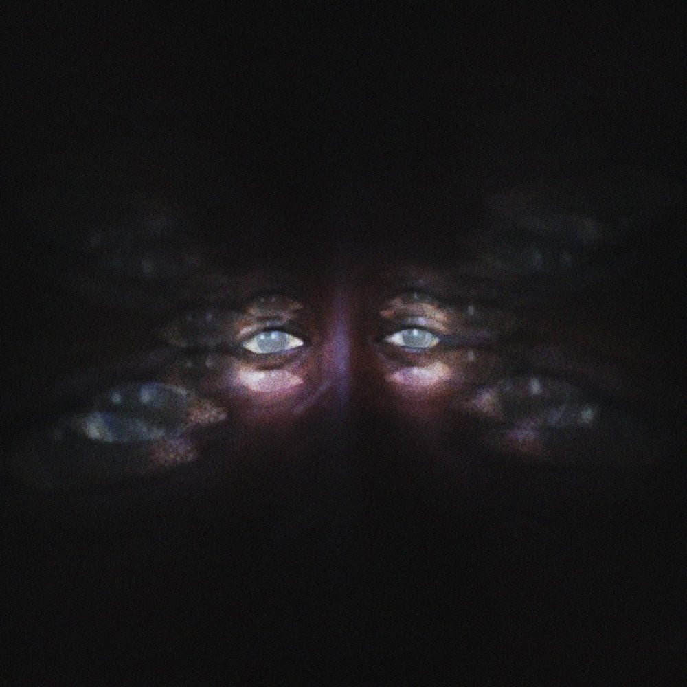 Blind cover