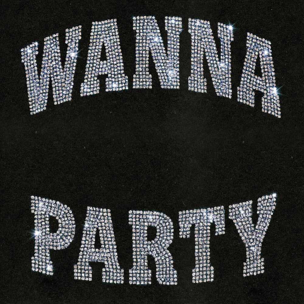 Wanna Party (feat. Dennis G) cover
