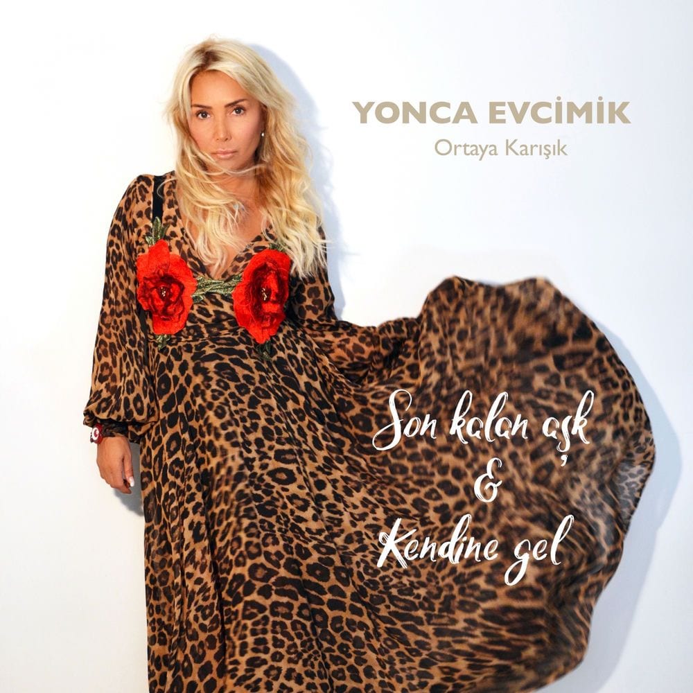 Ortaya Karışık cover