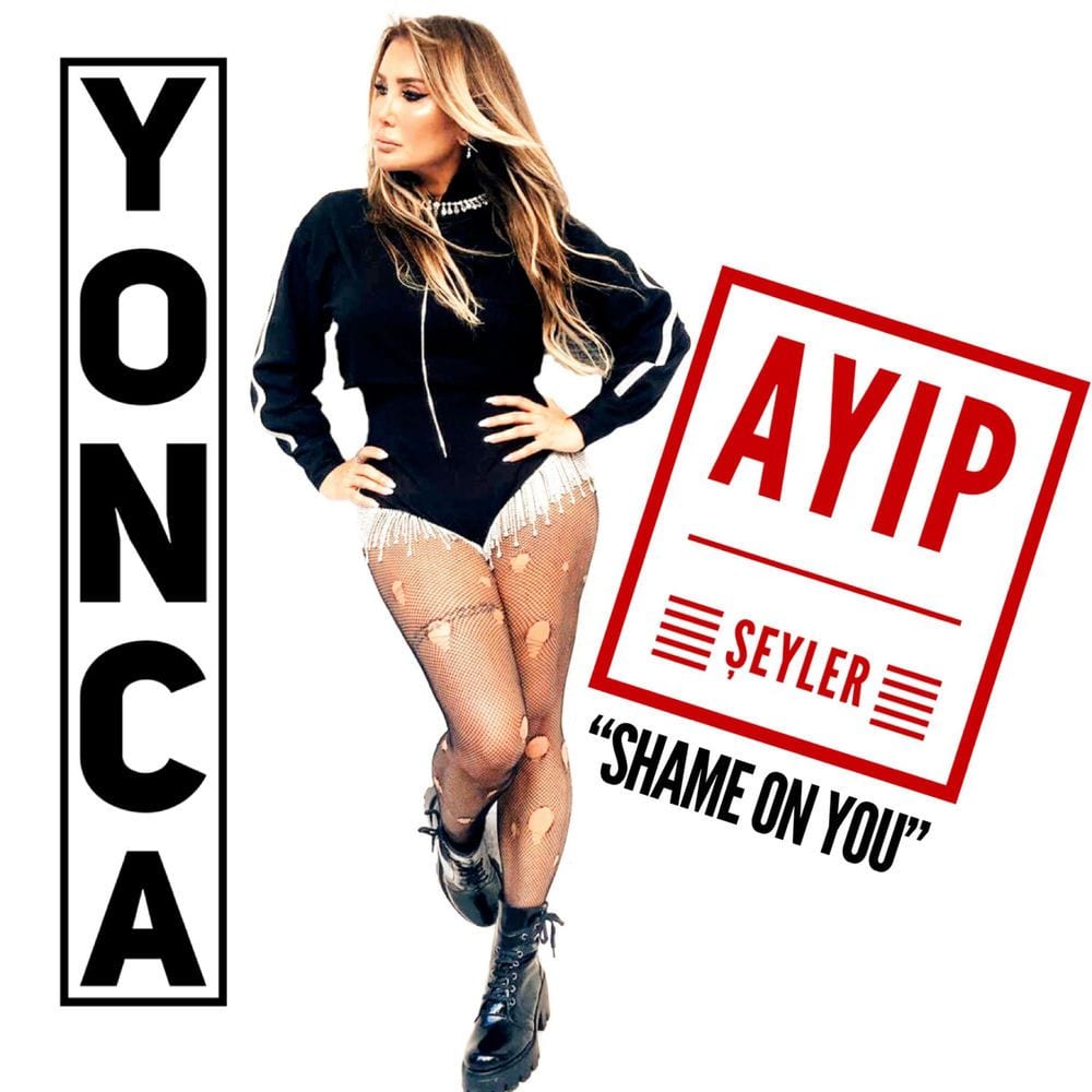 Ayıp Şeyler cover