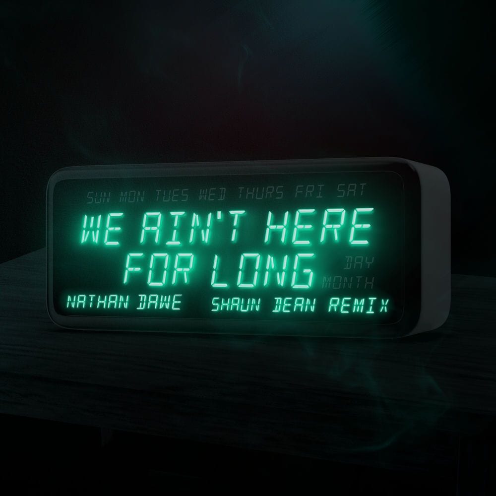 We Ain't Here For Long (Shaun Dean Remix) cover