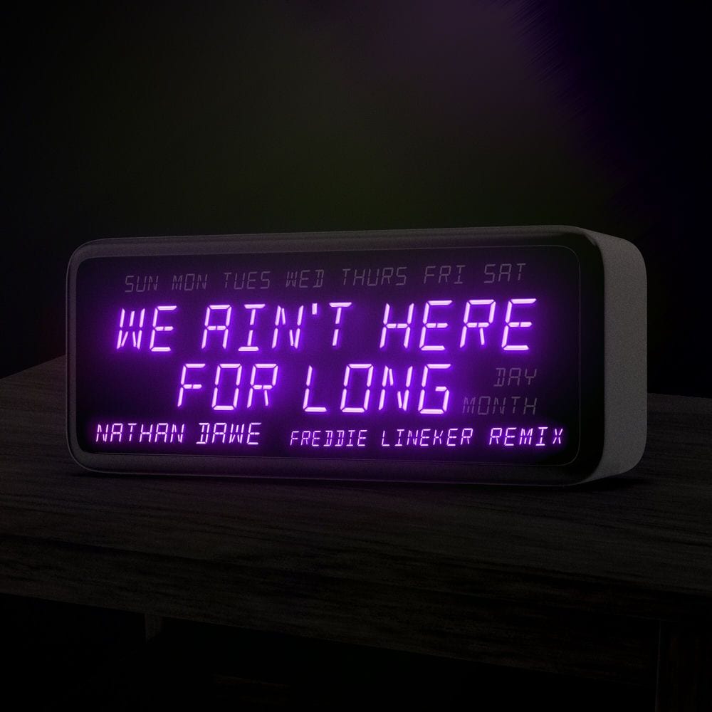 We Ain't Here For Long (Freddie Lineker Remix) cover